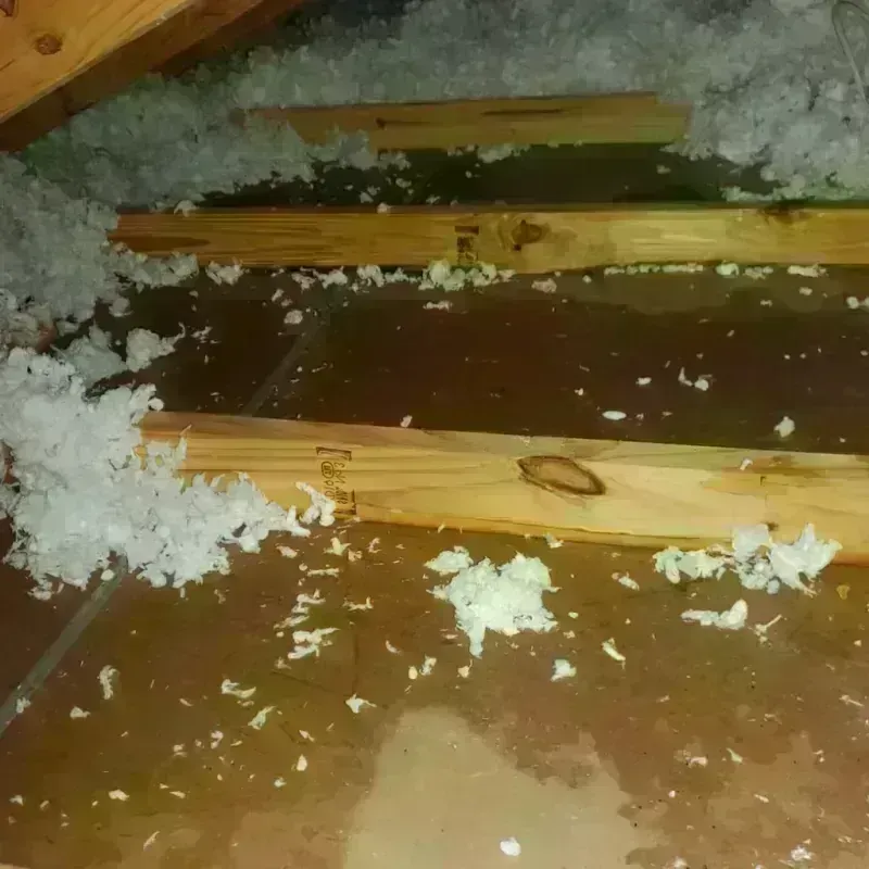 Attic Water Damage in Anchorage Municipality, AK