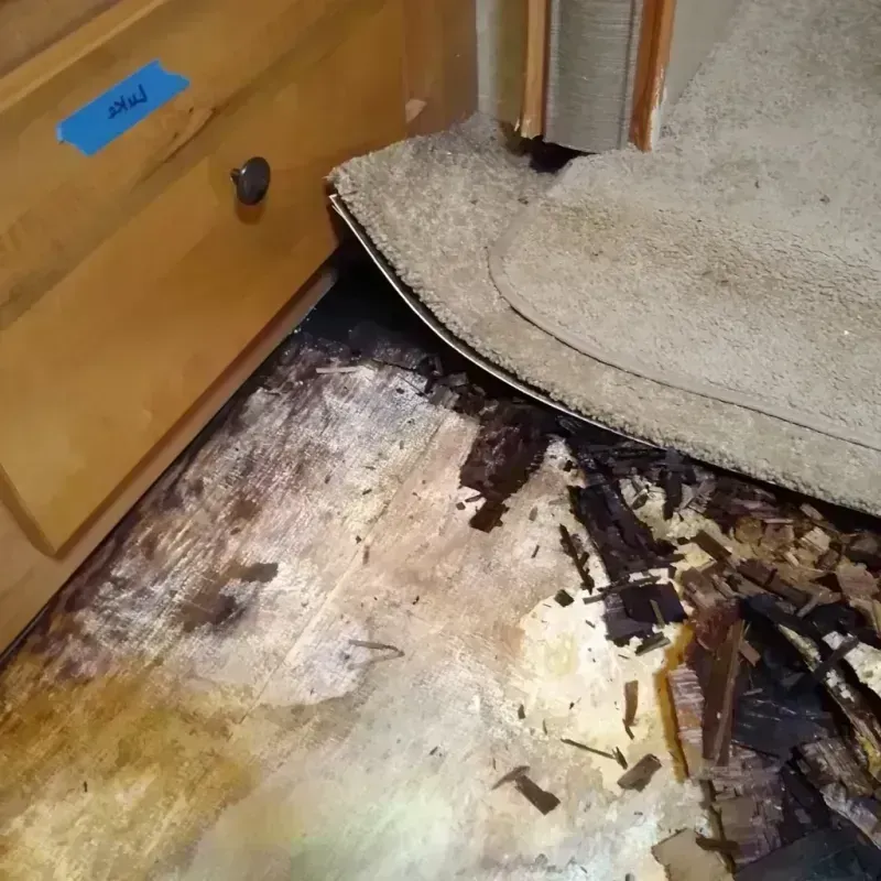 Wood Floor Water Damage in Anchorage Municipality, AK